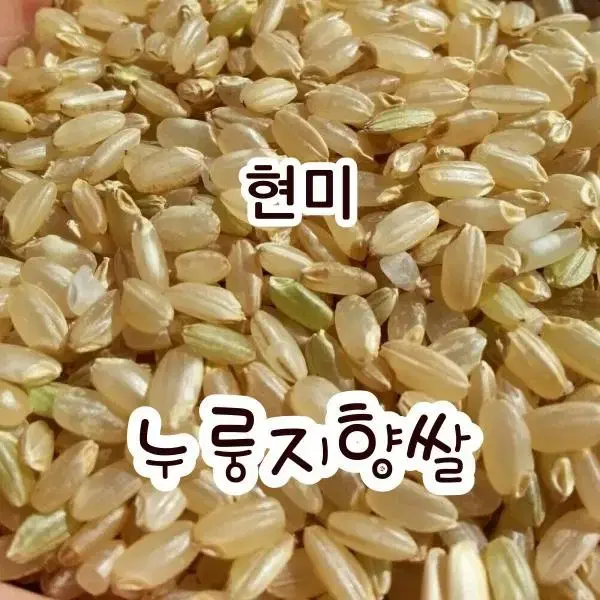 [누룽지향쌀 현미 3kg] 십리향 직접농사지은쌀 향미 맛있는쌀